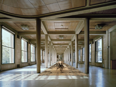 FIAC 2019 : Giuseppe Penone au Palais d’Iéna 