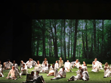 La Flûte enchantée par l'Opéra de Paris diffusée en live streaming