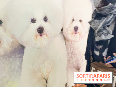 Children Power, l'exposition pour enfants interdite aux adultes non accompagnés au FRAC Paris