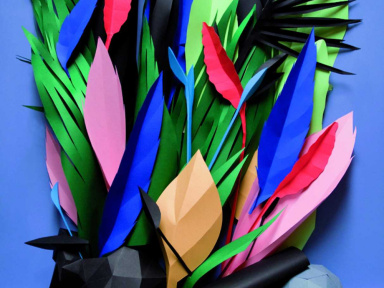 Green-attitude © Pierre Vanni