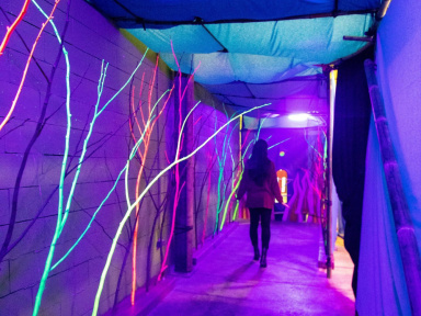 Paris Night Market revient avec son marché de Noël Incontournable à La Cité Fertile !