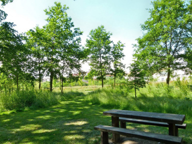 Rendez-vous aux Jardins 2019 au Parc de Groussay