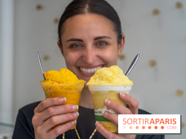 Les glaces granité-neige ultra rafraichissantes de Jade Génin façon kakigori 2024