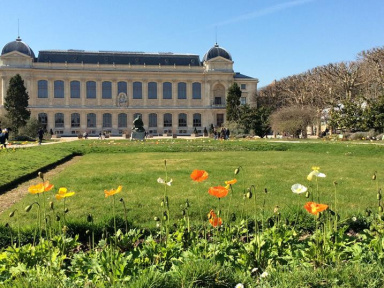La Fête de la Nature 2014 au Museum - Jardin des Plantes