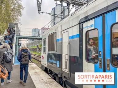 RER C et E : Perturbations majeures après une chute d'arbre et une panne d'aiguillage