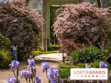 10 parcs et jardins à Paris et en Île-de-France à découvrir absolument en mai 2025 - jardin des plantes