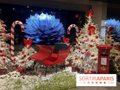Ce Marché de Noël en plein Paris promet patinoire, manèges et spectacles