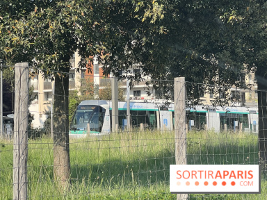 Ticket bus-tramway à 2€ : fin du piège tarifaire en Île-de-France