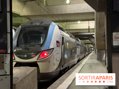 Tempête Goretti : la Ligne N et U interrompue entre jeudi et vendredi 