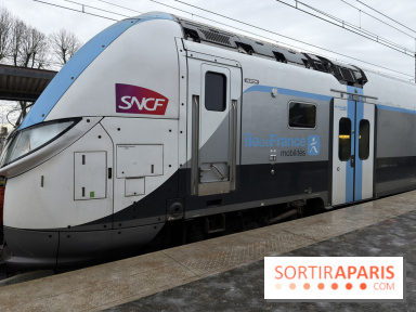 Tempête Goretti : la circulation des transiliens coupée à Saint-Lazaree