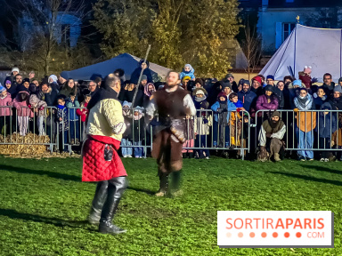 Fête Viking et Marché médiéval vous attendent dans le Val d'Oise