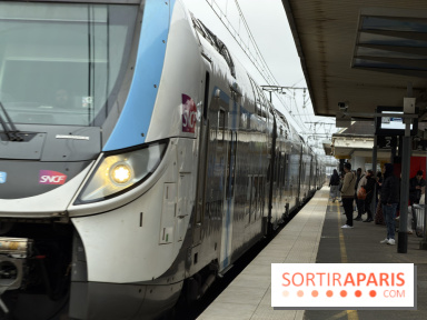 Transports à Paris et en Ile-de-France : les perturbations RER, métro du 26 janvier au 1er février