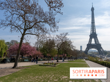 Les cerisiers du Trocadéro fleurissent avec de l'avance en ce printemps 2026