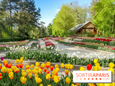 Le Parc Floral de Paris Vincennes, tulipes