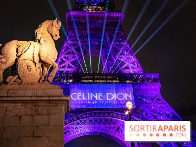 Concert de Céline Dion : 9 millions de pré-inscriptions, un record !