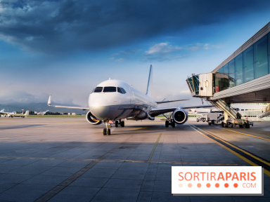 Vols annulés Transavia en mai et juin 2026 : êtes-vous concerné et que faire ?