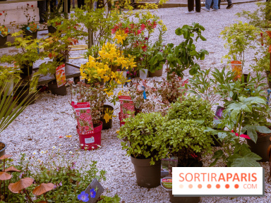 Jardins en fête à Auvers 91