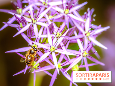 La Fête de la Nature et du bien-être animal vous attend ce samedi en Val-de-Marne