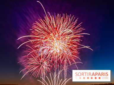 Seine-et-Marne, les feux d'artifice du 14 juillet interdits dans les zones sensibles