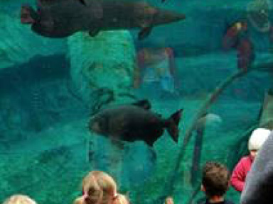 Le Parc Zoologique de Paris pour les vacances de printemps