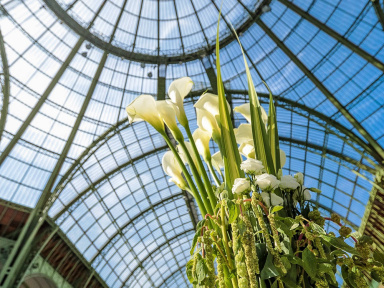 SEASONS : première édition au Grand Palais à Paris le 26 mai 2018