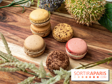 Jour du Macaron 2021 à Paris et en Ile de France 