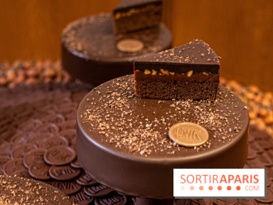 Le Gâteau-goûter chocolat de Christophe Michalak et la maison du Chocolat