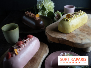Les nouveaux Entremets Nomades de Pierre Hermé