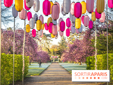 Hanami au Parc de Sceaux 2022, la fête des cerisiers en fleurs