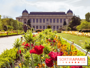 La Fête des sens s'invite au Jardin des Plantes pour les vacances de Pâques