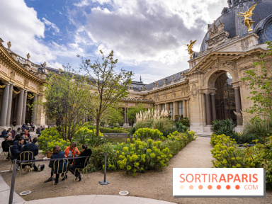 Le Jardin du Petit Palais et sa terrasse verdoyante 