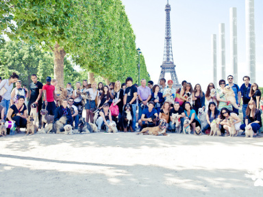 Dog Dating 2012, Gardicanin au Parc De Sceaux