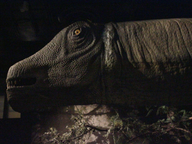 Report : Dinosaure, la vie en grand au Muséum