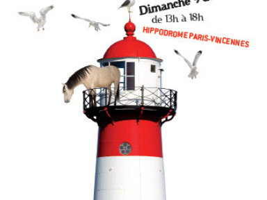 dimanche bretagne en vue à l'hippodrome de paris vincennes