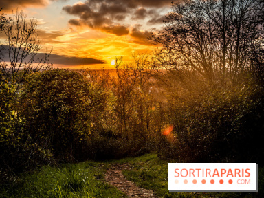 Colline d’elancourt - colline de la revanche 