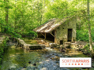 Fête de la Nature 2023 dans les Yvelines (78) : Le programme