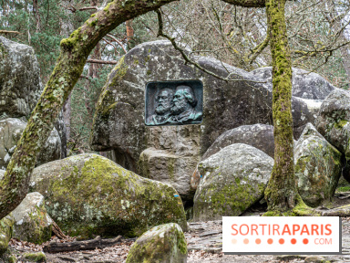 Nuit des Forêts à Fontainebleau 2023 entre art, nature et découvertes gratuites