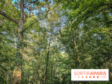 Les Nuits des Forêts 2023 en Seine-Saint-Denis (93) : Le programme