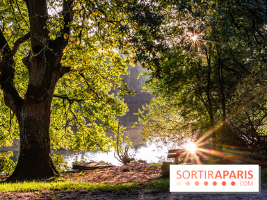 Le Sentier des maréchaux, la balade pédagogique en Vallée de Chevreuse