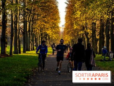 empête Ciaran, Versailles ferme ses parcs et jardins municipaux dès ce mercredi soir 