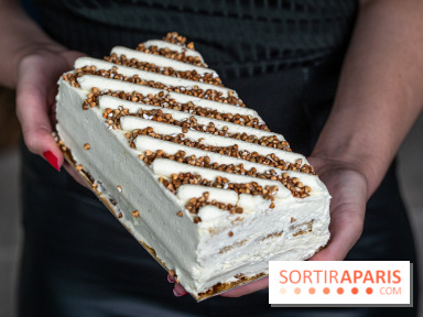 La délicieuse Bûche de Noël généreuse et sans gluten de Chambelland 2023