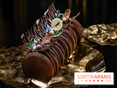 La Bûche de Noël du Collectionneur 2023