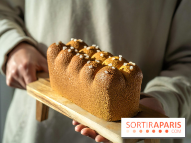 La Bûche de Noël trompe l'œil brioche originale de chez Ochre