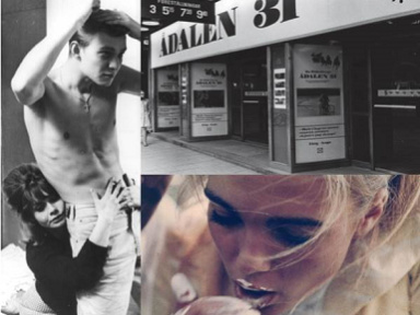 institut suedois-bo widerberg