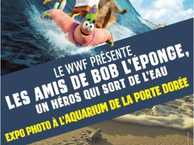 Bob l'Eponge à l'Aquarium de Paris, jeu-concours