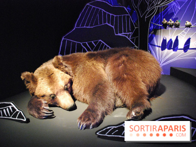 Exposition Nuit au Muséum Natinaol d'Histoire Naturelle