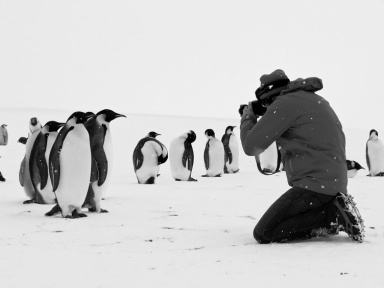 Voyage au Pôle Sud de Luc Jacquet : avis et bande-annonce