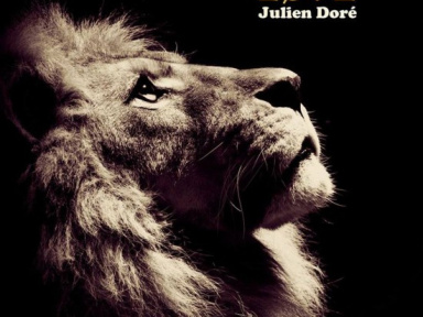 Julien Doré à l’Olympia de Paris en novembre 2014 : date supplémentaire