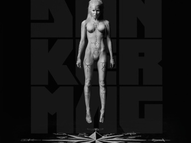Die Antwoord en concert au Zénith de Paris en janvier 2015 