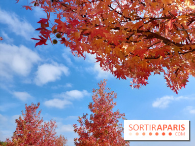 Que faire ce week-end à Paris et en Île-de-France, les 17, 18 et 19 octobre 2025 